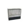 Cage D'exposition Indigène 15 Cm En PVC