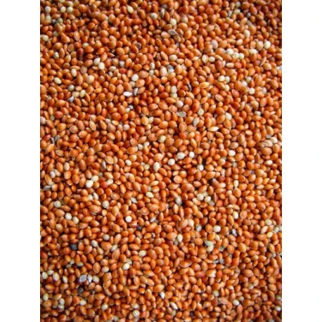 Millet Rouge 20kg 1 Millet Rouge 20kg