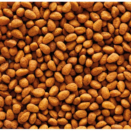 VERSELE-LAGA Nutribird G14 Original 10kg 2 VERSELE-LAGA Nutribird G14 Original 10kg – Image 2